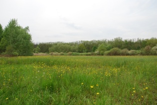 nedves-kaszalo.jpg