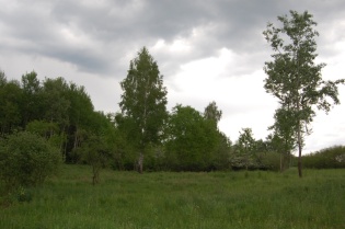 nyirlap.jpg