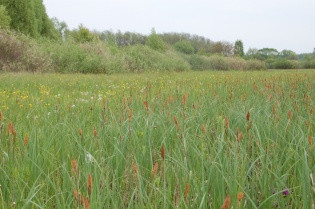 vizes-elohely.jpg